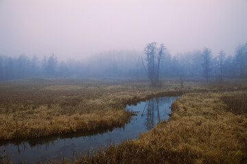 Naklejka na ściany i meble Misty landscape with the river.
