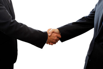 business men shaking hands in agreement