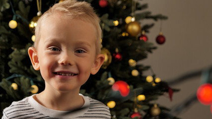 Portrait of little boy, christmas tree in the background