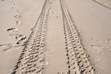 4x4 tyre tracks crisscrossing Tire tracks on the sand texture background