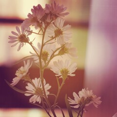 Fototapeta na wymiar photo of daisy flowers in the vase