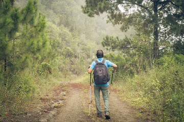 Fototapeta na wymiar rear back view of one adult young man with back pack and sticks trekking in a beautiful tropical landscape in dominican republic