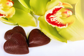 Green orchid cymbidium with chocolate heart.