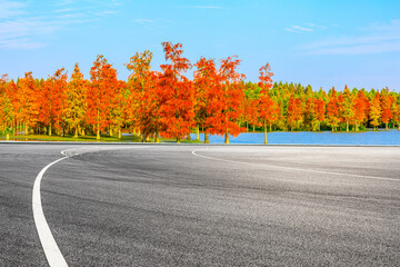 Empty asphalt road and colorful forest natural landscape in autumn season.