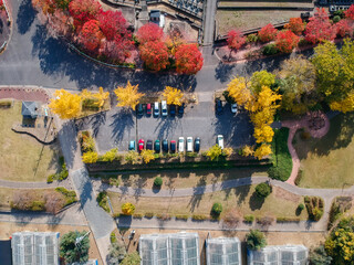 ドローンで空撮した秋の公園の駐車場の風景