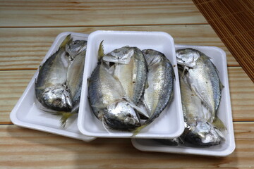 Selective focus, Pile of fresh Mackerel fish on the plastic tray wrapped with shrink. Famous seafood ingredients in Asia restaurant. Organic and cleaned food in the market.