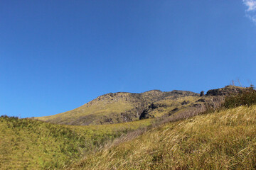 beautiful meadow landscape with blue sky, sunny day weather, rock hill on sumbing mountain in java indonesia, wildlife nature background wallpaper photo