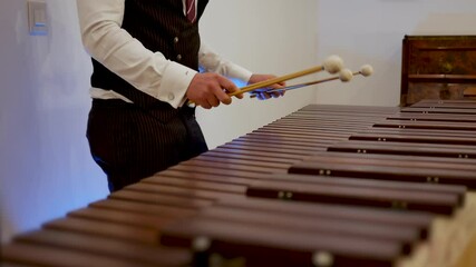 Side shot of percussion player on marimba. attractive man musician enjoys rehearsing and play the marimba. recording in the studio with computer in background. beautiful percussionist instrument.