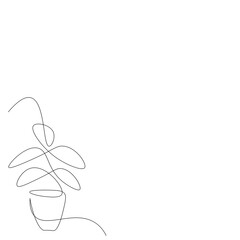 Plant in pot on white background, vector illustration
