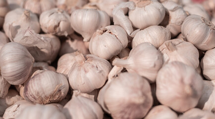 close up of full garlic