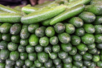 cucumbers in large quantity on display for sale