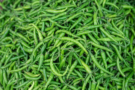 green chilies in large quantity for sale