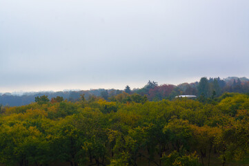 Fototapeta na wymiar Park in the autumn with the trees