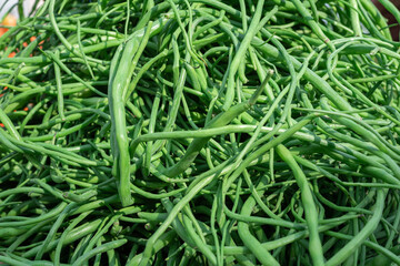 North Indian radish pods Moongre Vegetable in market for sale