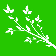White branch with leaves on a green background.