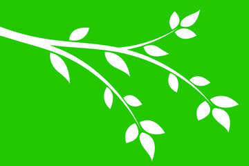 White branch with leaves on a green background.