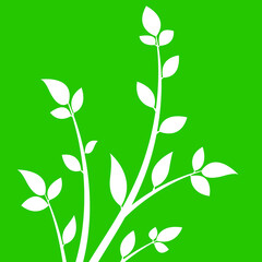White branch with leaves on a green background.