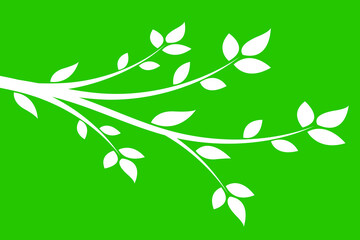 White branch with leaves on a green background.