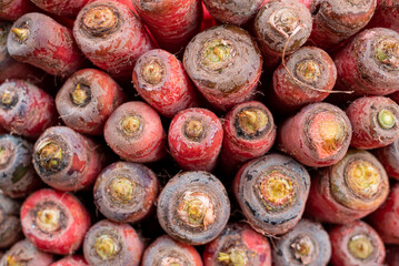 close up of carrots on display frontal image