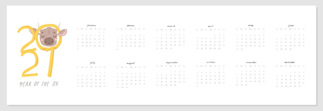 Monthly creative calendar 2021 cute hand drawn ox. Concept, vector vertical editable template. Symbol of the year in the Chinese calendar. Cartoon. Isolated. Vector illustration. Vector A4