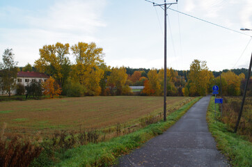 Fototapeta na wymiar bike path in a country