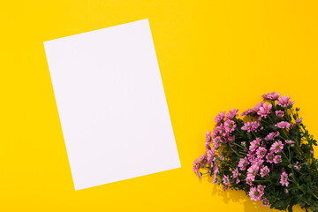 Bouquet of small pink chrysanthemums and white blank sheet on yellow background with copy space. Holiday postcard. Happy Valentine Day February 14. Woman Day March 8. Mother Day May 8. Business card