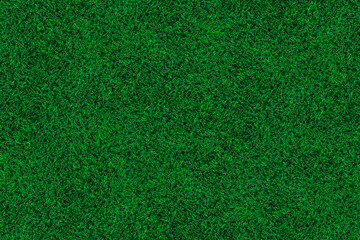 top view of green turf texture for pattern and background