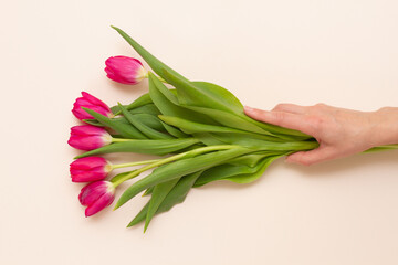 man holds with hand a bouquet of tender fresh red tulips
