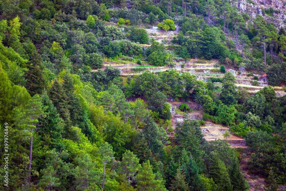 Wall mural stone terraces in mountain with two houses and forest