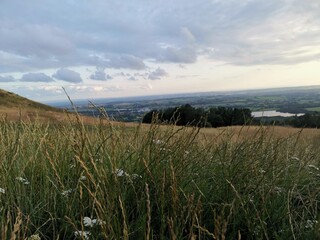 grass and sky