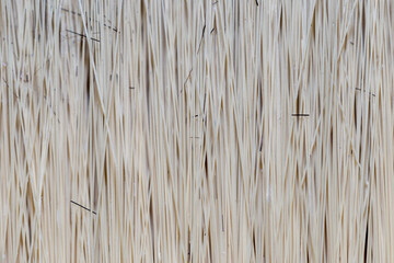 Bristle brush. Abstract background. pile and brush