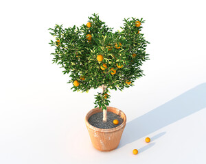 Orange tree in ceramic vase 3d rendering