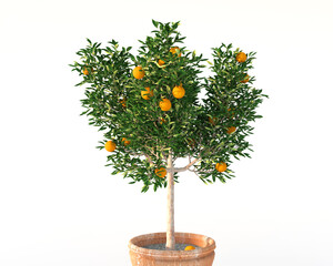 Orange tree in ceramic vase 3d rendering