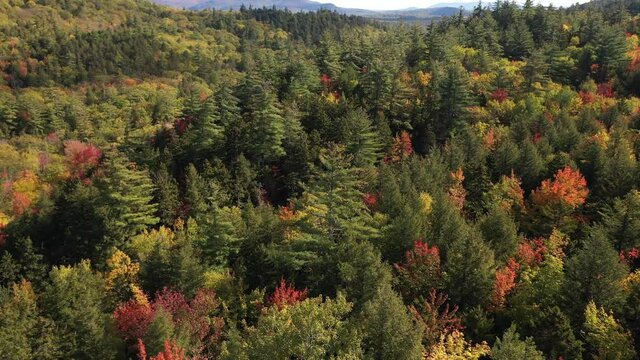 Nature on Sunny Autumn Day. Aerial View of Colorful Forest in Rural American Countryside, New England, New Hampshire USA
