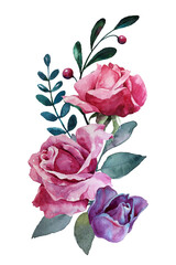 Watercolor flower bouquet. Pink roses, purple tulip with leaves and berries. Handpainted floral decorative element isolated on white background