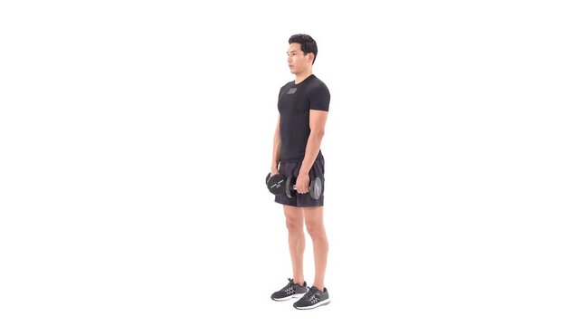 The Front of Shoulders Workout : Dumbbell Front Raise Exercise Guide