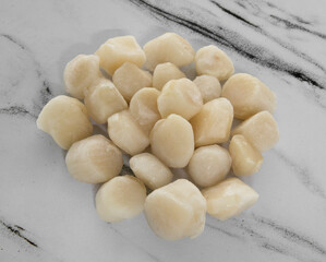 Culinary. Raw seafood ingredients for cooking. Top view of white and round scallops on the marble kitchen table. 