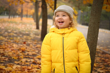 Cute little girl in autumn park © Pixel-Shot