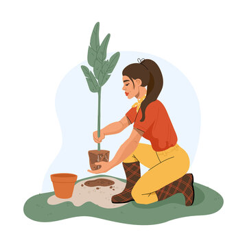 Woman plant tree in garden or city park. Gardener girl holding plant on her hand. Vector flat illustration isolated on white. Gardening concept in cartoon style.