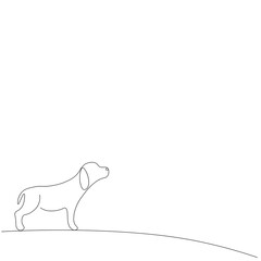 Dog beagle on white background, vector illustration
