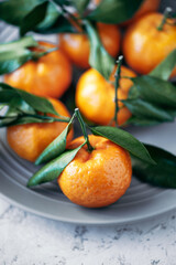 Tangerines (oranges, tangerines, clementines, citrus fruits) with leaves in a plate on a gray stone background, copy space