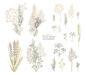 botanical illustration. Different types of field herbs green and brown shades of flowers. Ready compositions bouquets of herbs. hand drawing. Vector set of elements for your design © Ольга Дубровина