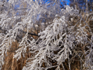 Stunning frozen icicles waterfall on a rocky mountain cliff on a winter day. The winter cascade is frozen in numerous white icicles. Waterfall falling past hundreds of icicles fantastic winter landsca