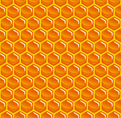 Beehive hexagonal cell seamless pattern 