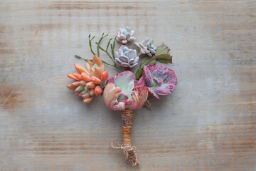 Creative tree made from succulent flowers on vintage wooden background