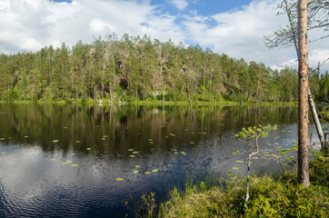 View from water on the Upper Pulongskoye Lake in Karelia (Russia)