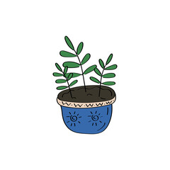 House plant. Flowers in pot. Ficus icon. Hand drawn vector doodle illustration