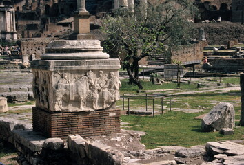 View of the Roman Forum ruin in Rome, Italy