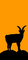 illustrated silhouette of reindeer on orange background .