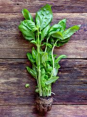Bunch of fresh basil on wooden background, top view